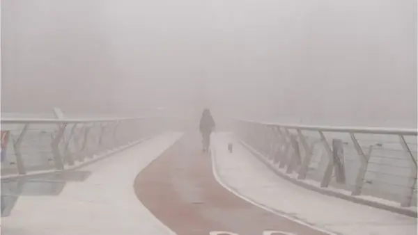 Киев до утра накроет густой туман, резко упадет видимость на дороге