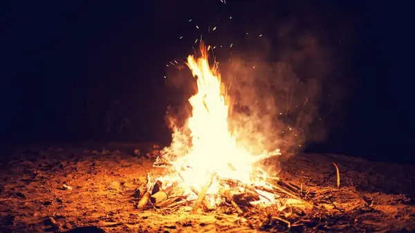 Ученые нашли доказательство того, что люди «приручили» огонь раньше, чем считалось до этого