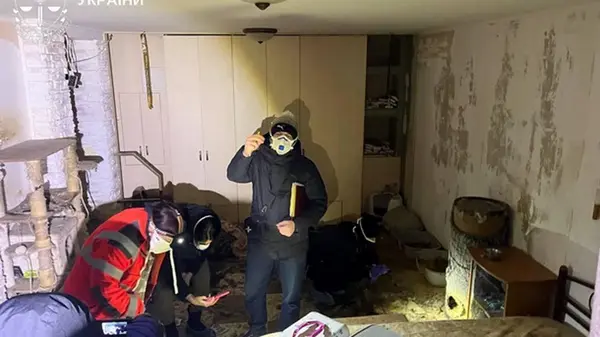 На Киевщине расследуют гибель более 50 кошек