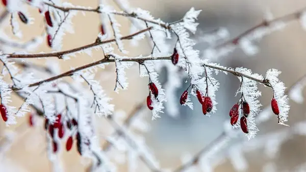 Укргидрометцентр рассказал о похолодании и снеге накануне Рождества