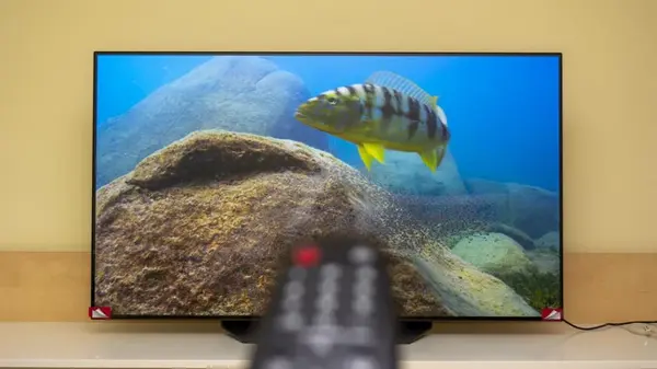 Сколько лет в среднем прослужит OLED-телевизор, прежде чем его придется заменить