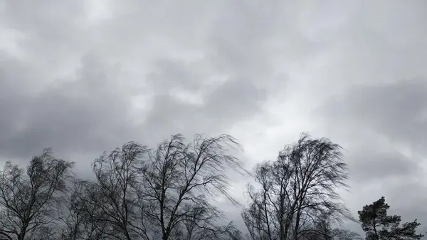 Непогода в Харькове: синоптики объявили штормовое предупреждение