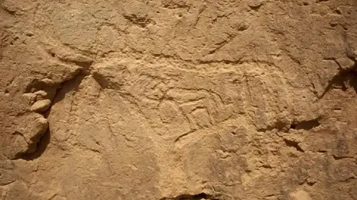 В пустыне Египта обнаружили огромные иероглифы: ученые связали их с космосом