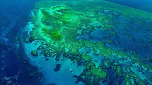 Ученые обнаружили фрагмент тектонической плиты: он исчез из виду около 30 млн лет назад