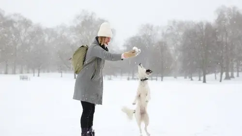 Серьезные морозы и снег: действительно ли этот январь в Украине холоднее нормы