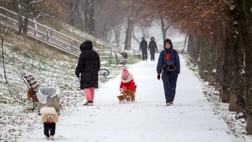 В Украину идет потепление: синоптики дали прогноз погоды на 25 января