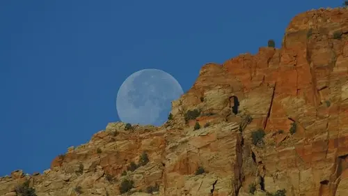 Почему Луна кажется больше, когда находится над горизонтом: ответ может удивить (фото)