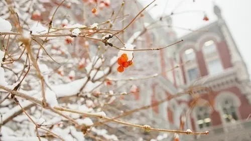 НБУ «сжег» более $1 млрд для поддержки гривны