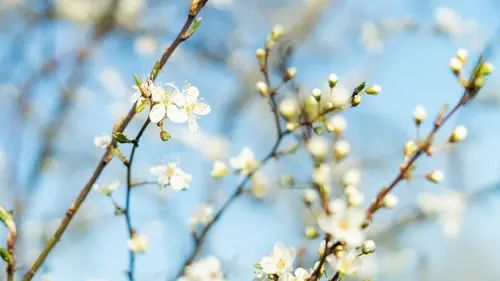 Синоптики спрогнозировали, какой будет март в Украине