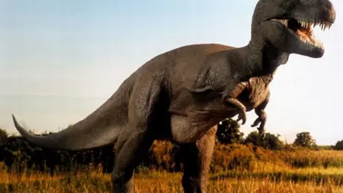 В фильмах врут: как на самом деле ходил тиранозавр Рекс