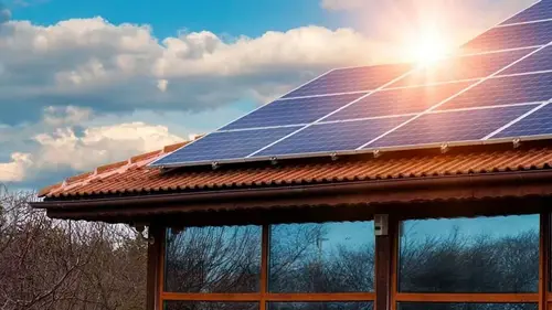 Пчелы сходят с ума от солнечных панелей: это может разрушить нашу природу всего за 4 года