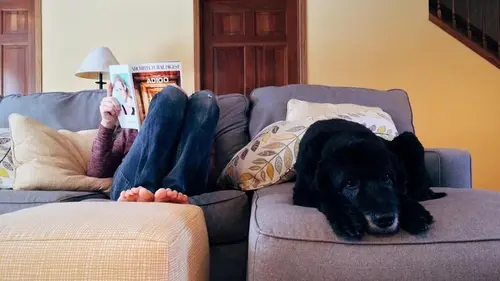 Собаки незаметно влияют на качество воздуха, которым люди дышат в доме, - исследование