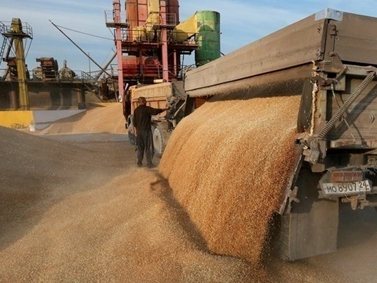 Экспорт украинской аграрной продукции вырос на 40%