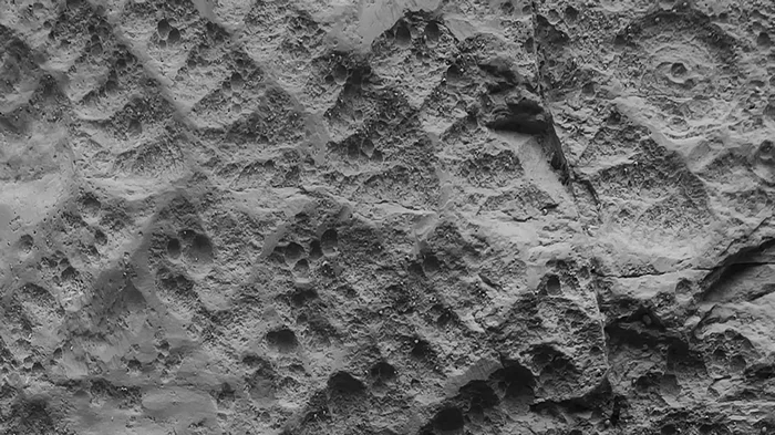 Первое великое вымирание на Земле было хуже, чем думали ученые: найдены новые доказательства