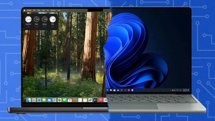 Windows против macOS: эксперты сравнили скорость, ошибки и срок «жизни...