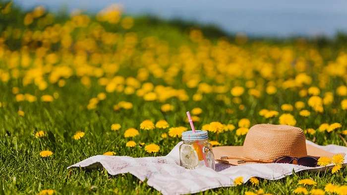 Прогноз на лето 2026? Укргидрометцентр объяснил, правдивы ли слухи об ...