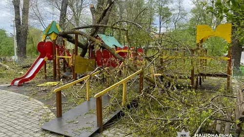 В Буковине деревья упали на детскую площадку: пострадали двое детей