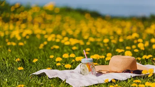 Прогноз на лето 2026? Укргидрометцентр объяснил, правдивы ли слухи об «аномальной жар...