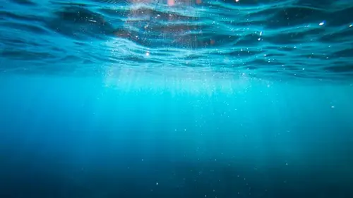 Японские ученые обнаружили скрытый вулкан на дне Тихого океана возрастом 3 миллиона л...