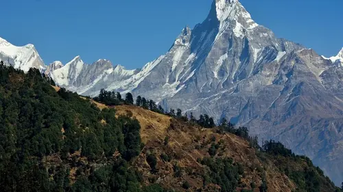 Заснеженные вершины Гималаев меняют цвет: это вызывает беспокойство среди ученых