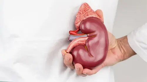 Камни в почках и питание — как пища влияет на риск мучительного состояния