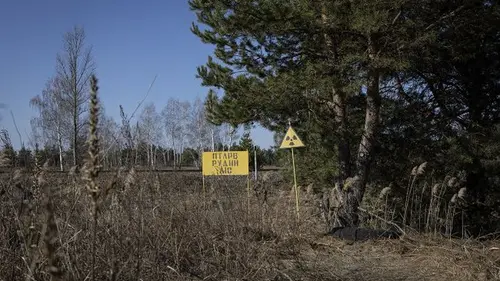 «Пятнистое загрязнение»: что сегодня с радиацией в Чернобыльской зоне ...