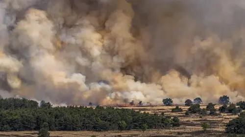 В Нидерландах вспыхнул пожар на военном полигоне