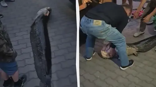 В Польше двое украинцев убили местную легенду и разозлили пол-Варшавы