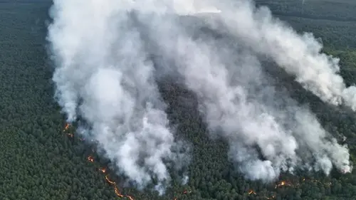 В Германии горит лес на полигоне: детонируют боеприпасы