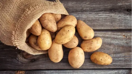 Полезен ли картофель: диетологи рассказали, как его правильно употреблять