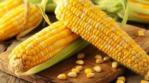 Картофель против кукурузы: диетолог объяснил, какой продукт лучше для уровня сахара в...