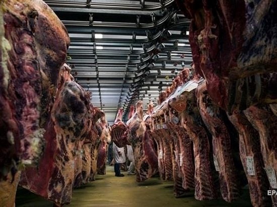 Украина начнет экспорт говядины в Китай