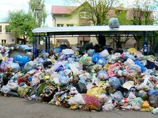 Львовские власти просят объявить город зоной экологичного бедствия