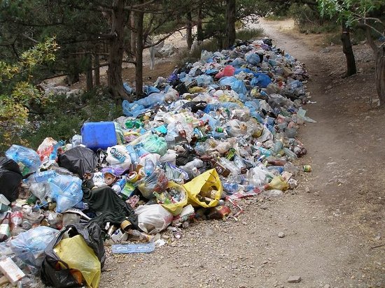 В Украине намерены ввести огромные штрафы за мусор на улицах