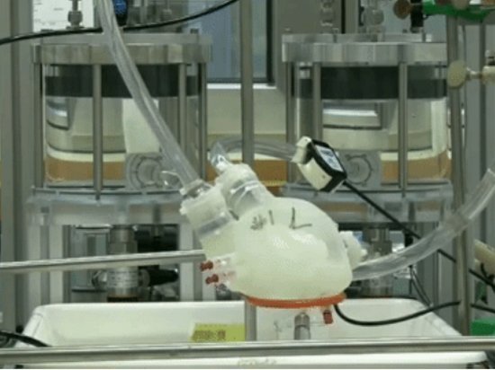 Ученые в Швейцарии создали прототип сердца на 3D-принтере (видео)