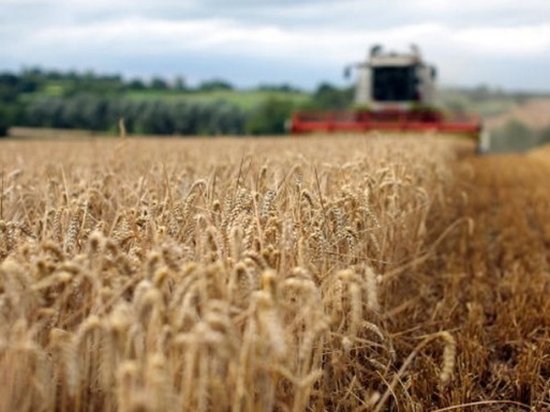 Аграрный экспорт Украины в Евросоюз вырос на треть
