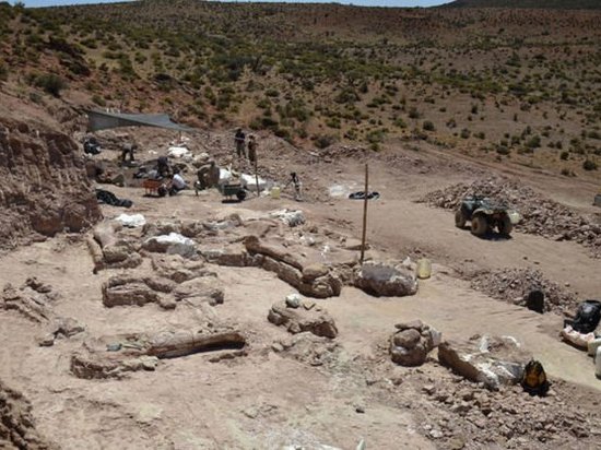 В Аргентине обнаружили останки динозавра, который был тяжелее Boeing