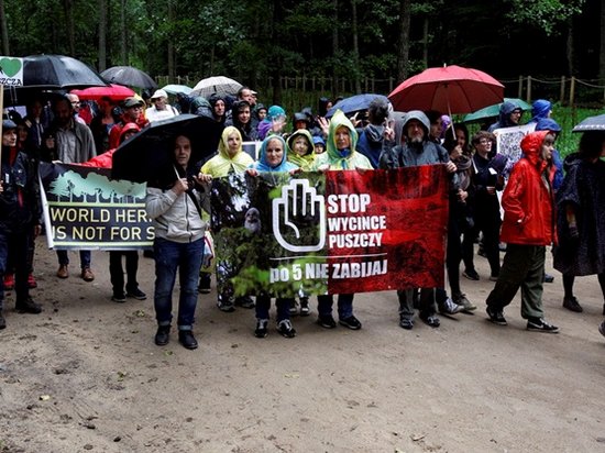В Польше начались протесты против вырубки Беловежской пущи