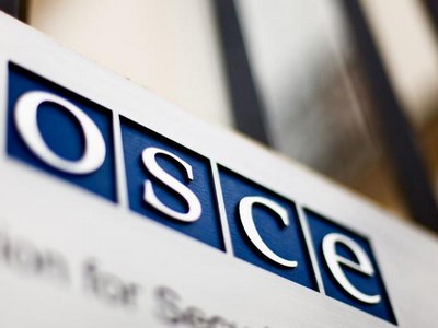 Наблюдателя ОБСЕ отстранили за неподобающее поведение