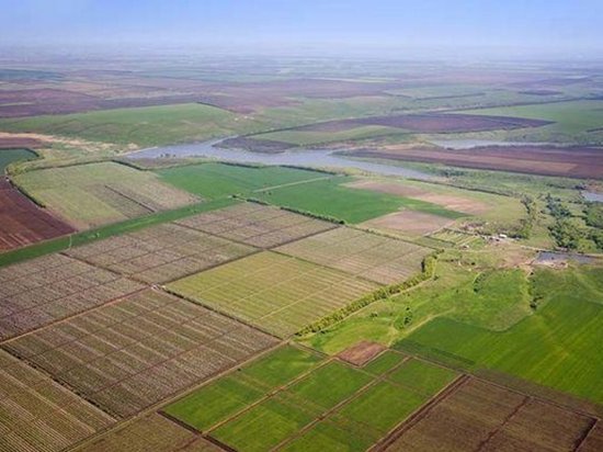 В Украине откроют все данные о сделках с землей