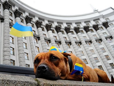 Украинцы назвали самую ожидаемую реформу (опрос)