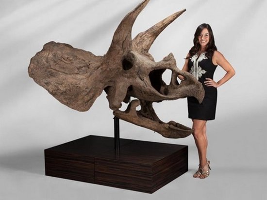 В США на аукционе продадут кости динозавров