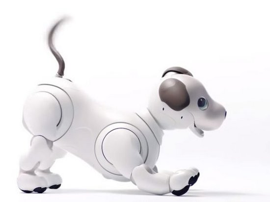Компания Sony воскрешает легендарного робота-собаку (видео)
